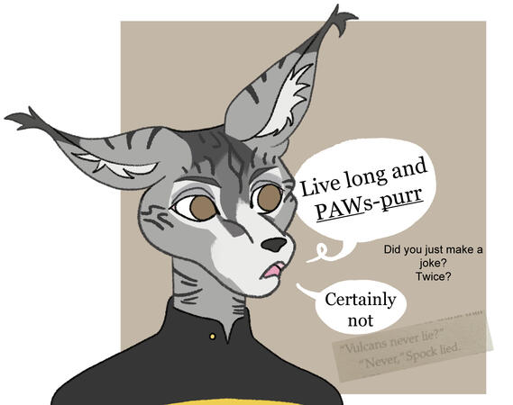 M'Raal, Art Fight 2025